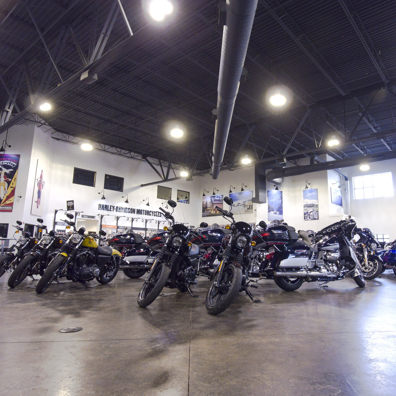 Falcons Fury Harley Davidson